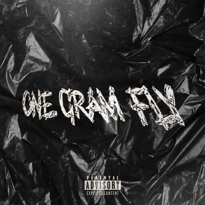 Pain Money (feat. Joo BJ & Blaster)/One Gram Fly
