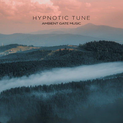 アルバム/Hypnotic Tune/Ambient Gate Music／Raymoon