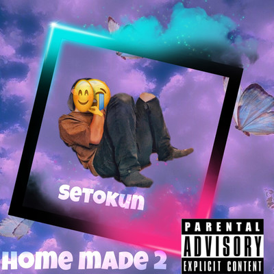 アルバム/Home made 2/Setokun