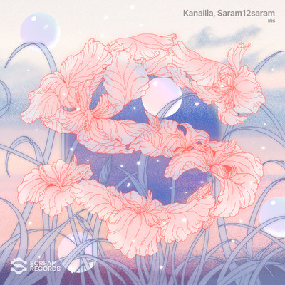 シングル/Iris (Extended Mix)/Kanallia, Saram12saram