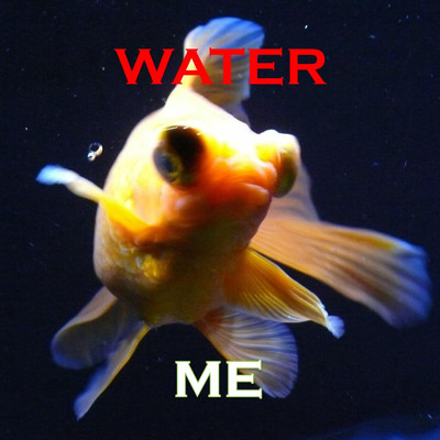 water/ME