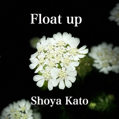 アルバム/Float up/加藤翔也