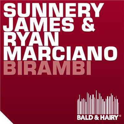 シングル/Birambi/Sunnery James & Ryan Marciano