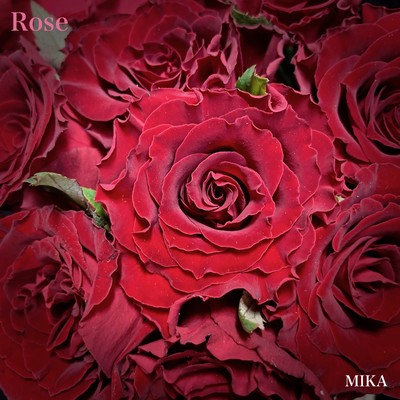 Rose/MIKA KANEKO