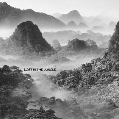 シングル/Lost in the Jungle/VAudio
