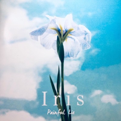 アルバム/Iris/Painful Lie