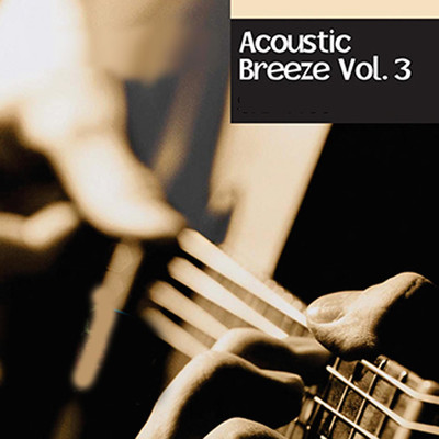 アルバム/Acoustic Breeze, Vol. 3/Instrumental Society
