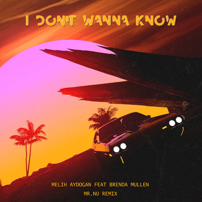 I Don't Wanna Know (feat. Brenda Mullen) [Mr. Nu Remix]/Melih Aydogan