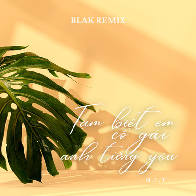 シングル/Tam Biet Em Co Gai Anh Tung Yeu (Blak Remix)/N.T.T