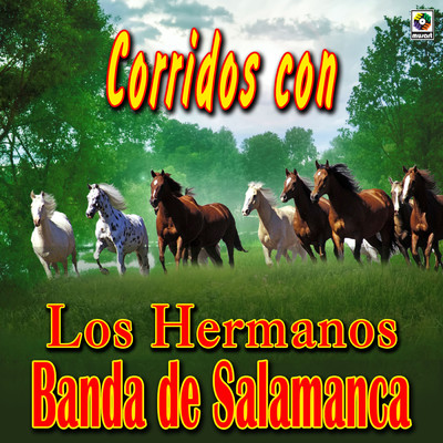 アルバム/Corridos con los Hermanos Banda de Salamanca/Los Hermanos Banda De Salamanca