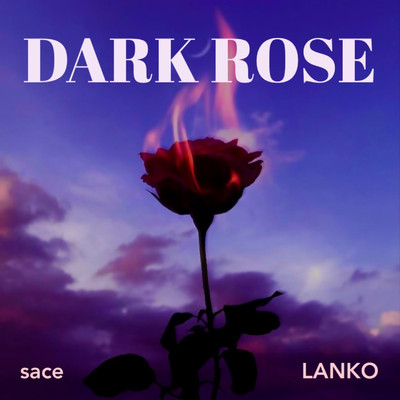 Dark Rose/LANKO／sace