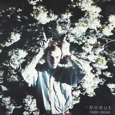 アルバム/Tender Pervert/Momus