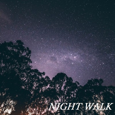 アルバム/NIGHT WALK/TandP