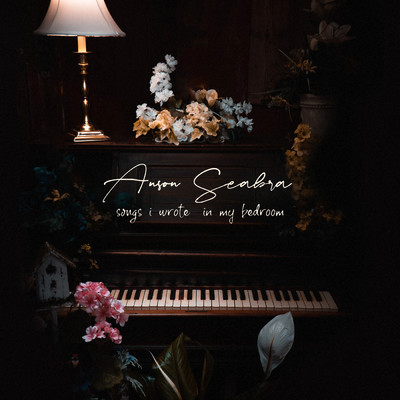 アルバム/Songs I Wrote in My Bedroom (Explicit)/Anson Seabra