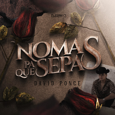 Nomas Pa Que Sepas/David Ponce