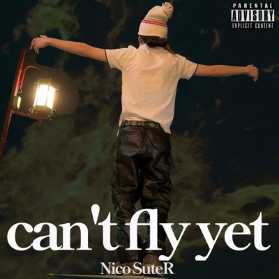 can't fly yet/Nico SuteR