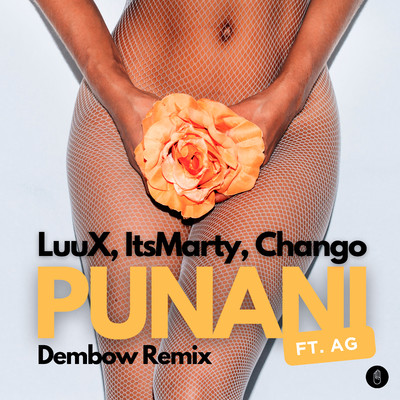 Punani (feat. AG) [Dembow Remix]/LuuX