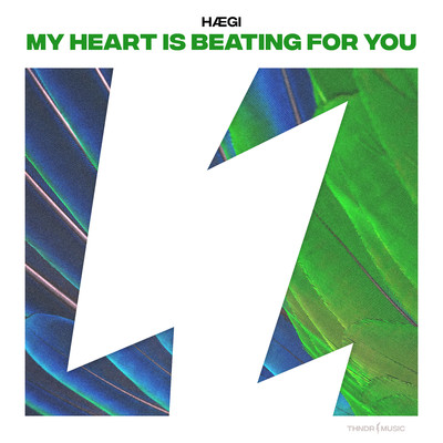 My Heart Is Beating For You/HAEGI