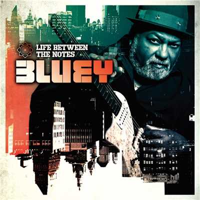 アルバム/Life Between The Notes/Bluey