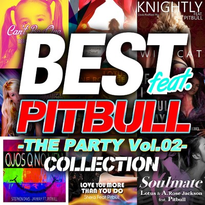 アルバム/BEST feat. PITBULL COLLECTION - THE PARTY Vol.02 -/Various Artists