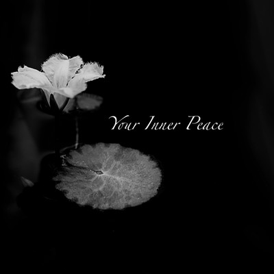 Your Inner Peace/VAudio