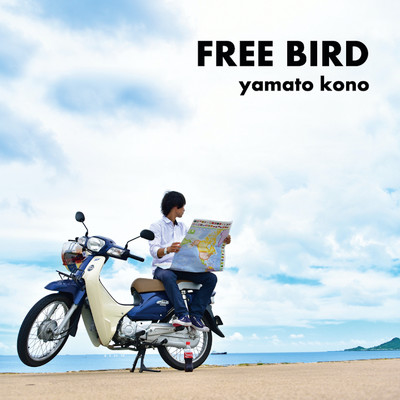 アルバム/FREE BIRD/yamato kono