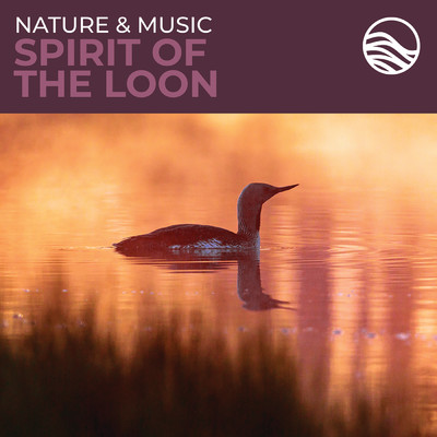 アルバム/Nature & Music: Spirit Of The Loon/ブライアン・ハーディン