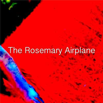 The Rosemary Airplane/Sumac Ageratum at Davis