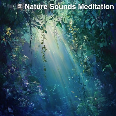 アルバム/Nature Sounds Meditation/Nature sounds for deep sleep