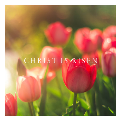 アルバム/Christ Is Risen/Maranatha！ Music