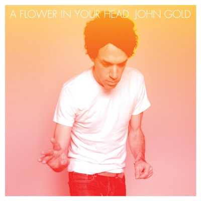 アルバム/A Flower in Your Head/John Gold