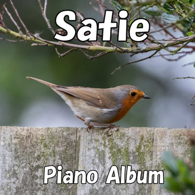 Sonatine bureaucratique(Allegro)/Pianozone