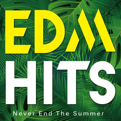 アルバム/EDM HITS - Never End The Summer -/Mee