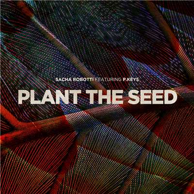 シングル/Plant The Seed (featuring p. keys)/Sacha Robotti