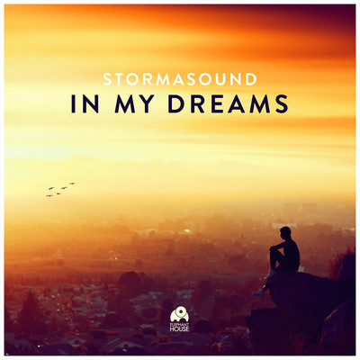 In My Dreams/Stormasound