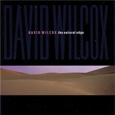 アルバム/The Natural Edge/David Wilcox