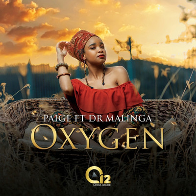 Oxygen (feat. Dr Malinga)/Paige