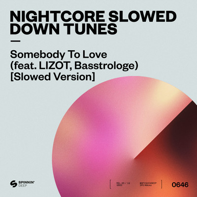 Somebody To Love (feat. LIZOT, Basstrologe) [Slowed Version]/Nightcore Slowed Down Tunes