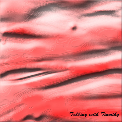 アルバム/Talking with Timothy/Pvwnbroker