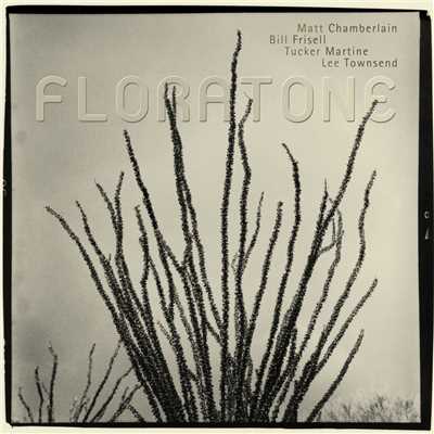 アルバム/Floratone/Floratone