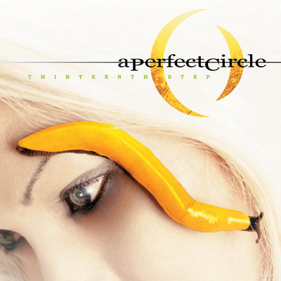 The Outsider/A Perfect Circle