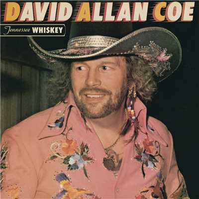 I'll Always Be a Fool for You/David Allan Coe