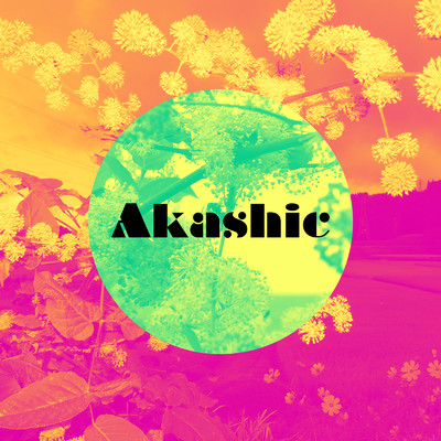 Akashic/Sneaker Made