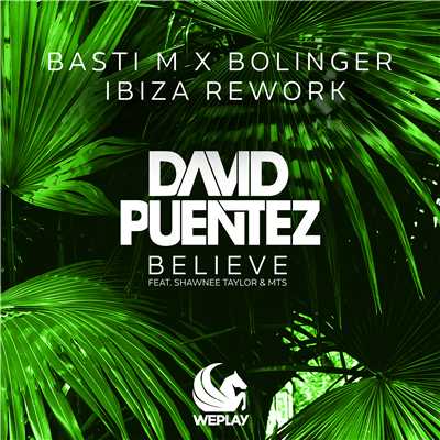 Believe (feat. Shawnee Taylor & MTS) [Basti M x Bolinger Ibiza Rework]/David Puentez