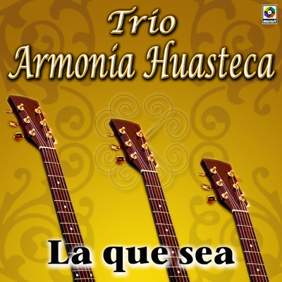 シングル/Mi Despedida/Trio Armonia Huasteca