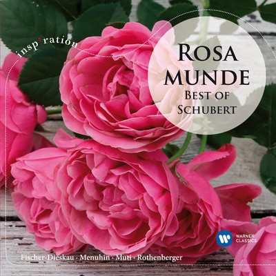 シングル/Ave Maria, Op. 52 No. 6, D. 839 (Orchestral Version)/Anneliese Rothenberger