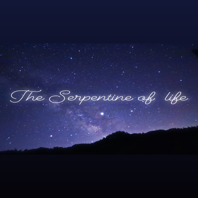 The Serpentine of Life/後藤 泰観