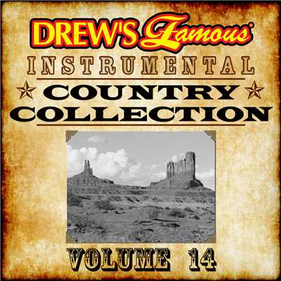 Drew's Famous Instrumental Country Collection Vol. 14/The Hit Crew