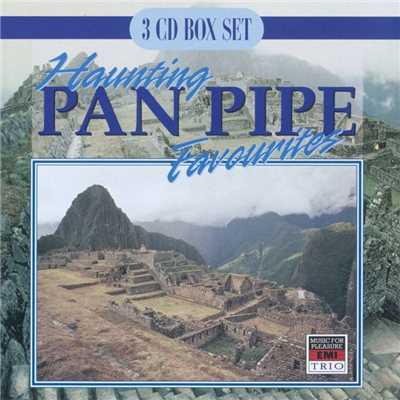 Something's Gotten Hold of My Heart/The Blue Mountain Panpipe Ensemble