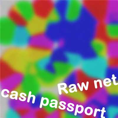 The Shell with techniques/cash passport